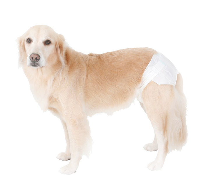 Pet Pad Pee Training Disposable Diaper, Puppy Products Pants For Dogs ...